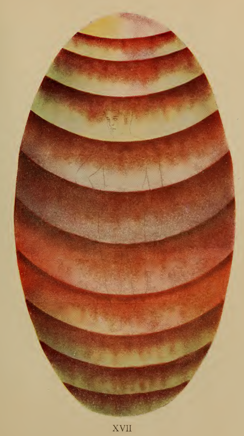 A close-up of a vase
Description automatically generated