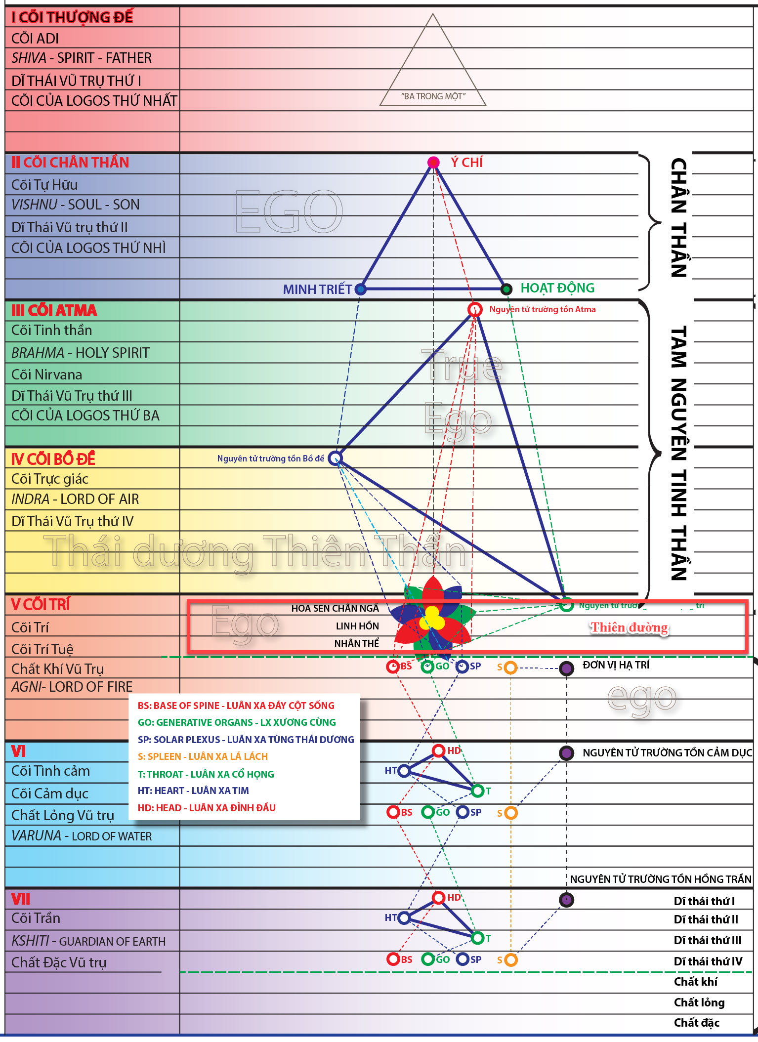 A diagram of a diagram
Description automatically generated with medium confidence
