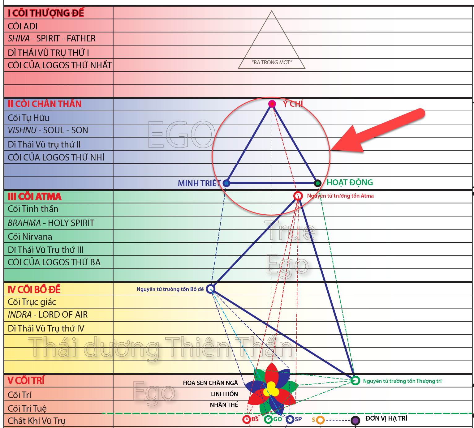 A diagram of a triangle with a flower and a flower
Description automatically generated with medium confidence