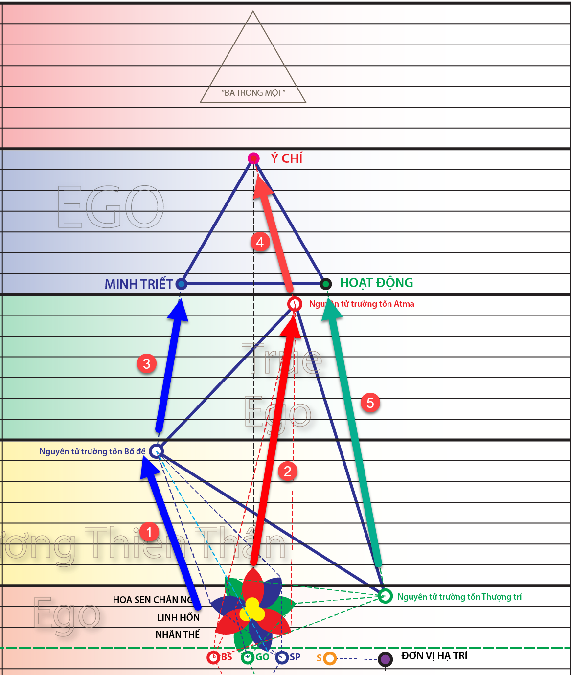 A diagram of a triangle with arrows and a flower
Description automatically generated