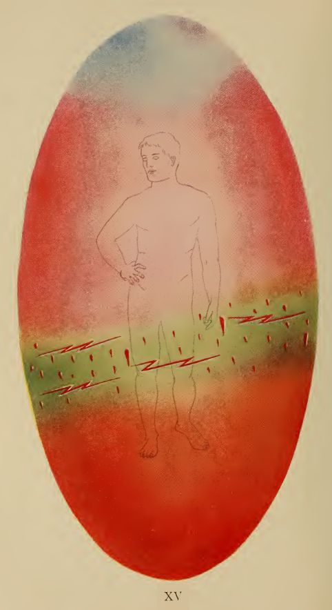 A drawing of a person
Description automatically generated