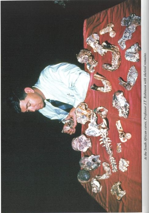 A person looking at bones on a table

AI-generated content may be incorrect.