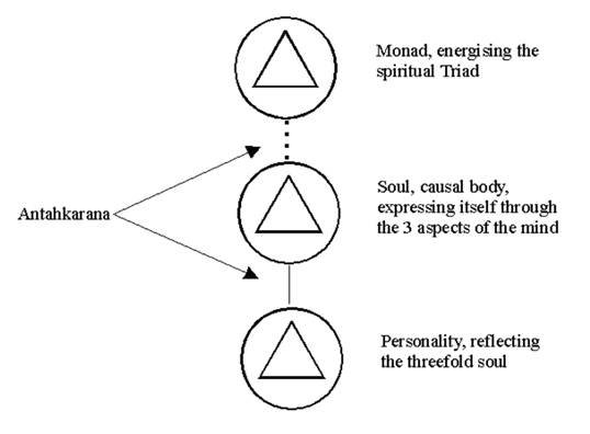 A diagram of a diagram of a person's body



AI-generated content may be incorrect.