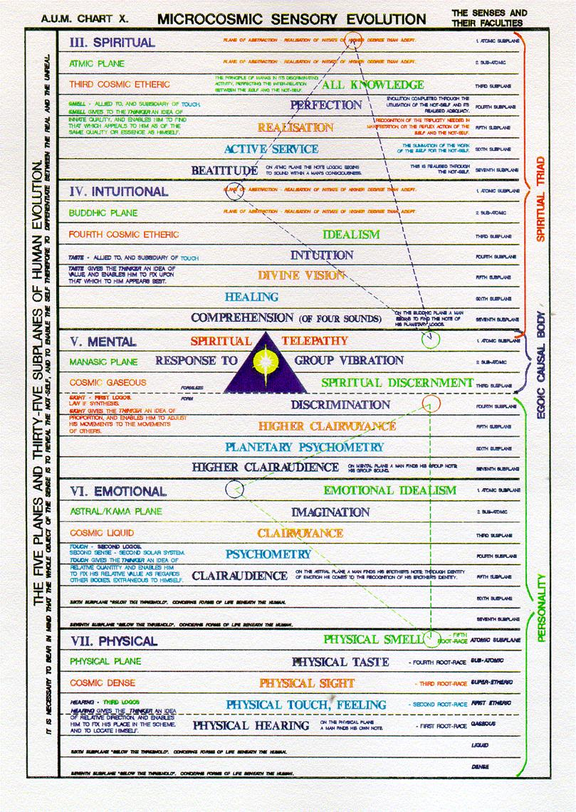 A close-up of a document

Description automatically generated