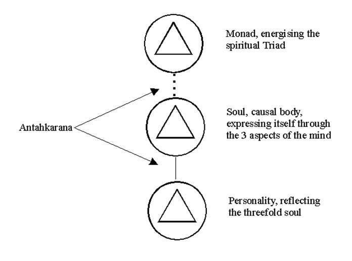 A diagram of a diagram of a person's body



AI-generated content may be incorrect.