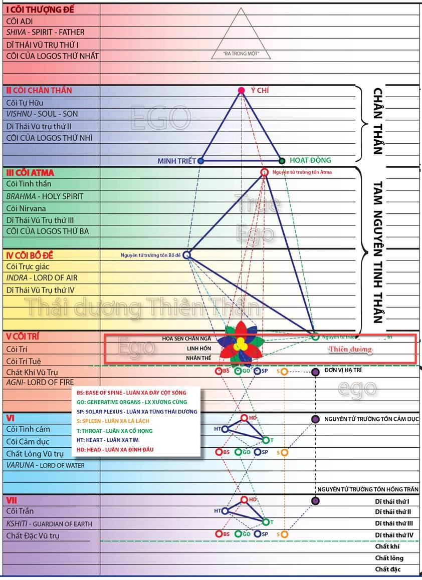 A diagram of a diagram



Description automatically generated with medium confidence