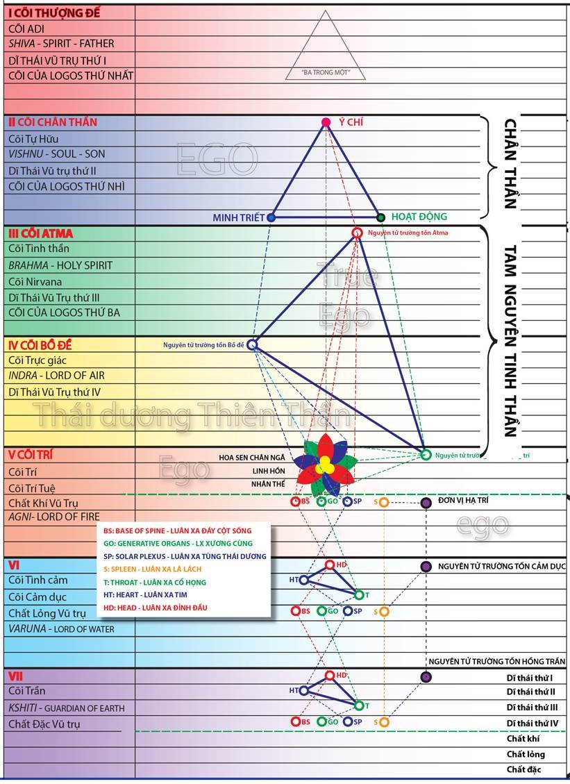techniqus-of-integration-webinar-2-basis-of-modern-psychological-problems-01.jpg A diagram of a diagram
AI-generated content may be incorrect.