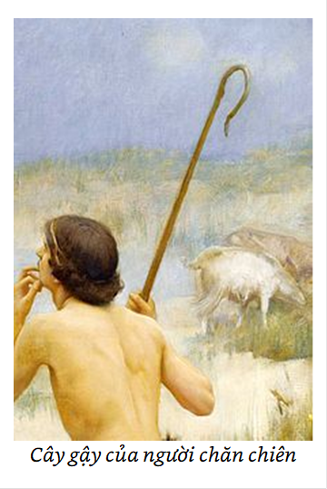  Cây gậy của người chăn chiên