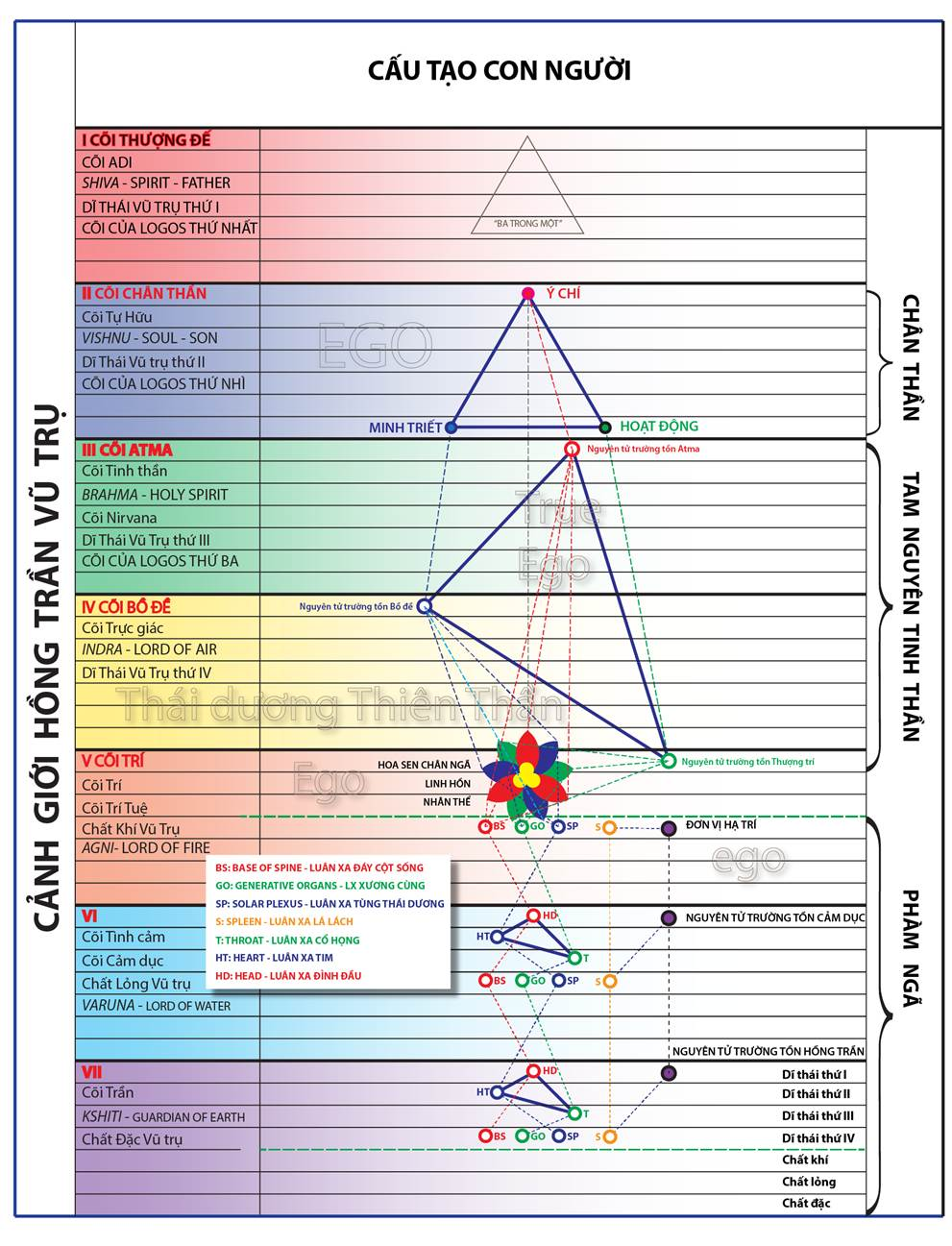 A chart with lines and triangles



AI-generated content may be incorrect.