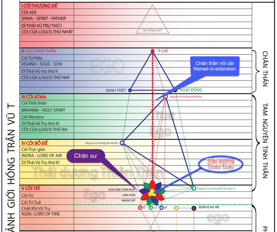 A diagram of the same type of structure



Description automatically generated with medium confidence