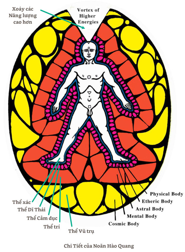 A drawing of a person with a diagram



AI-generated content may be incorrect.