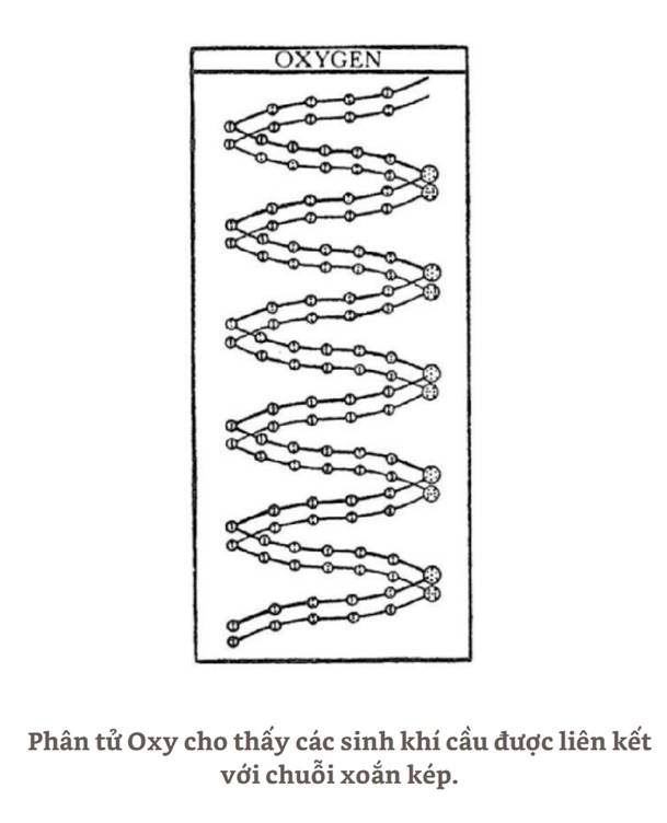 A black and white drawing of a spiral pattern



AI-generated content may be incorrect.