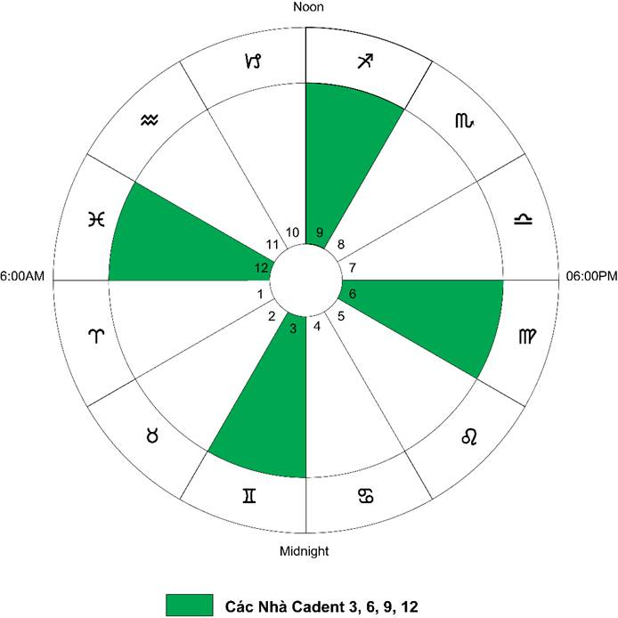 A close up of a logo



Description generated with high confidence