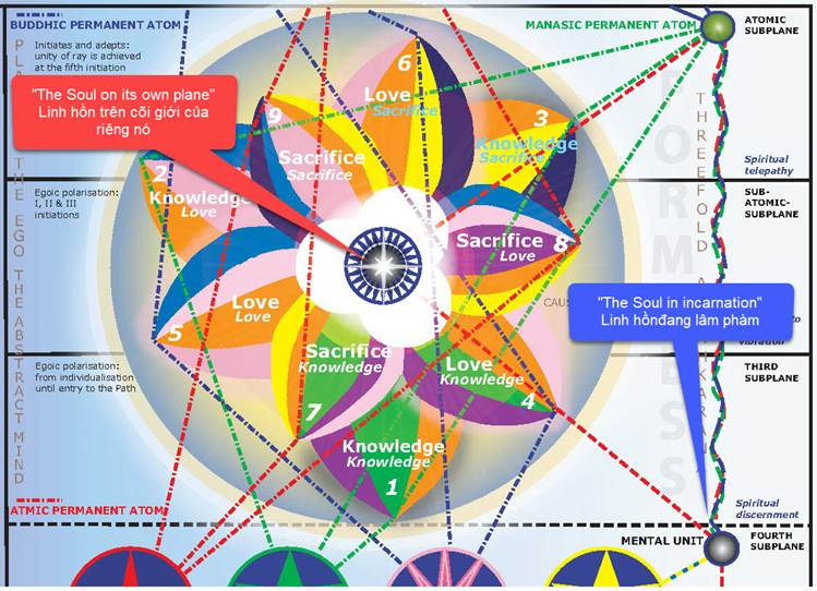laws-of-the-soul-webinar-commentary-18-02.png A diagram of the different colors of the same flower
Description automatically generated with medium confidence