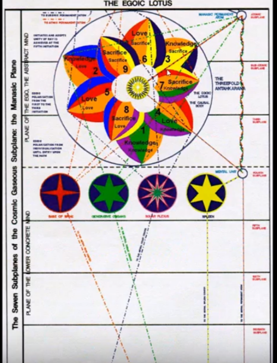 A diagram of a flower with different colors

Description automatically generated