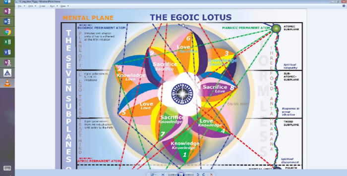A diagram of the same flower



AI-generated content may be incorrect.