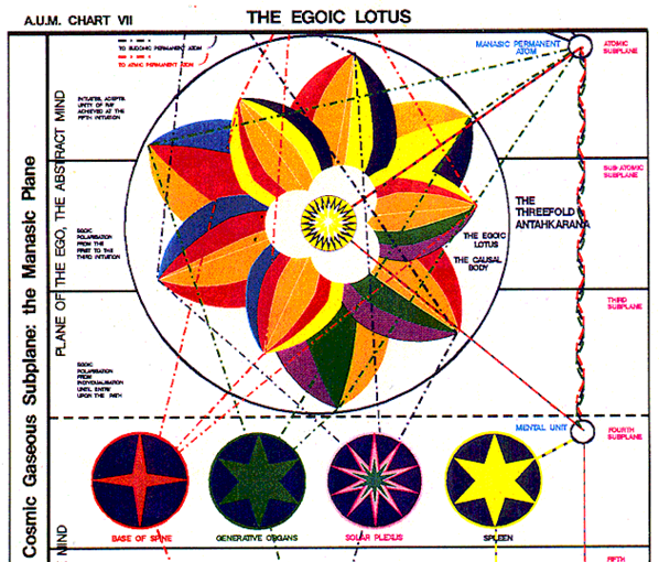 A diagram of a flower with different colors and shapes



AI-generated content may be incorrect.