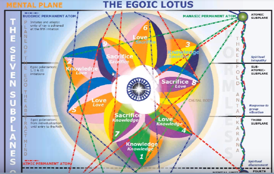 A diagram of the egoic lotus



AI-generated content may be incorrect.