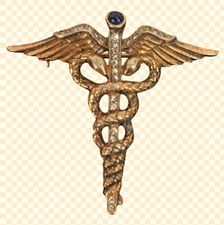 Medical Symbol Snake Png, Transparent Png - 1273x1273(#2511201) - PngFind