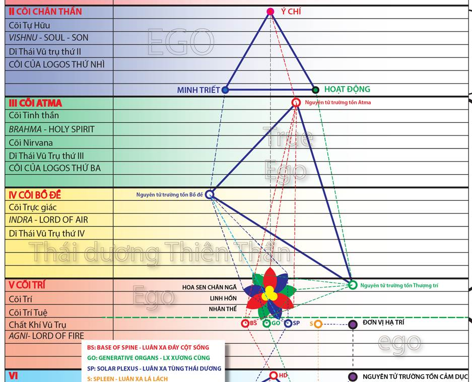 Chart



Description automatically generated