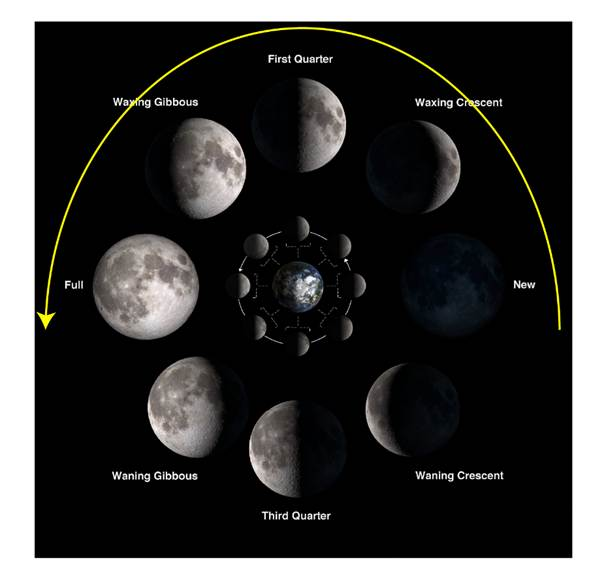 A diagram of the moon



Description automatically generated