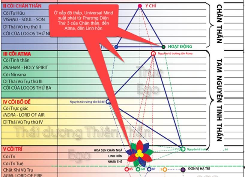 A diagram of the chakras



Description automatically generated