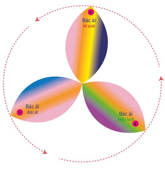 A diagram of a flower



Description automatically generated