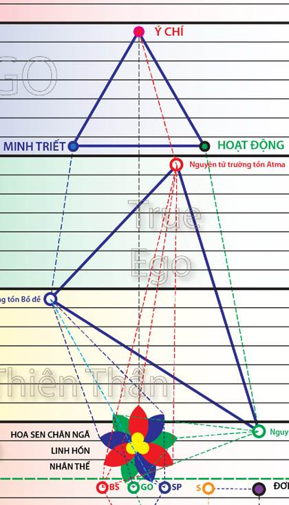 A diagram of a triangle



AI-generated content may be incorrect.