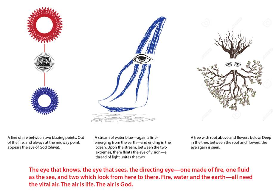 A drawing of a tree and a plant



Description automatically generated with medium confidence