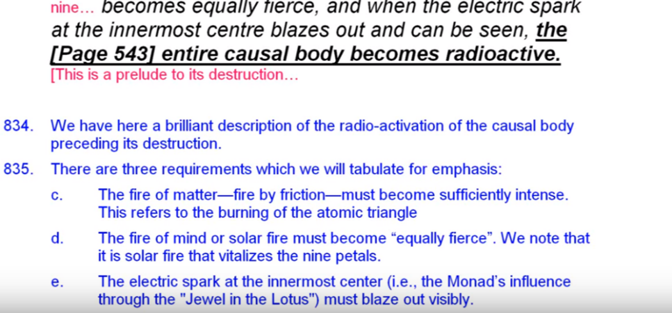 egoic-lotus-webinar-commentary-29-02.png