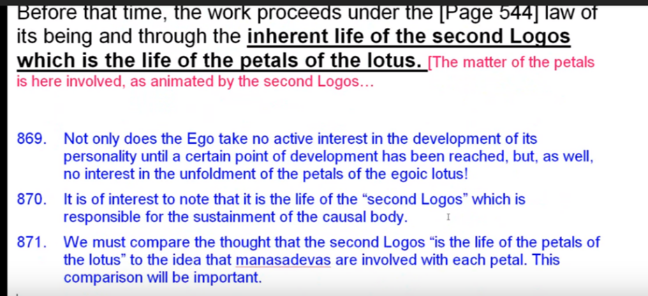 egoic-lotus-webinar-commentary-29-03.png