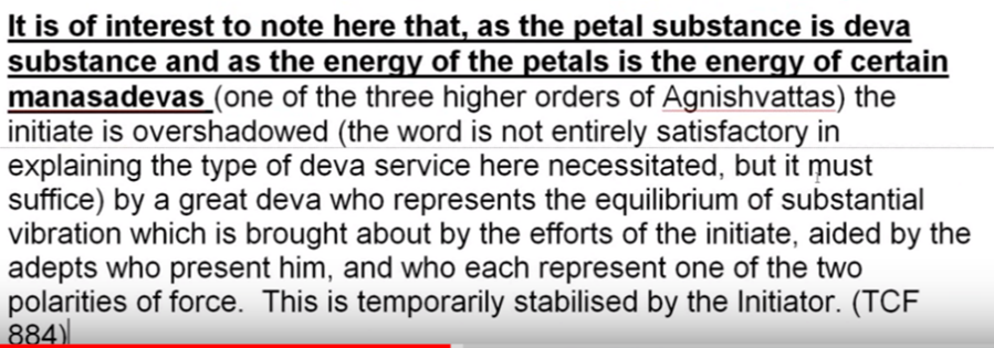 egoic-lotus-webinar-commentary-29-04.png
