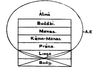appendix.-notes-on-papers-i.-ii.-and-iii-03.png Illustration