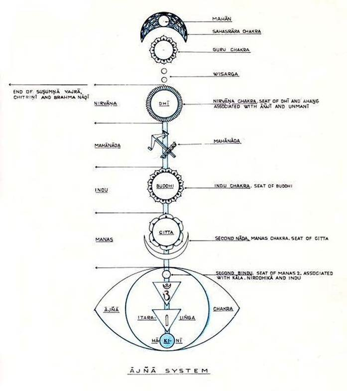 astral-rule-53-song-ng-01.png Shaktism describes (Brow) Chakra Six - Ajna