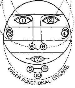 some-papers-on-the-bearing-of-occult-philosophy-on-life-04.png Illustration: Circle with 1 through 10