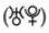00156.jpeg