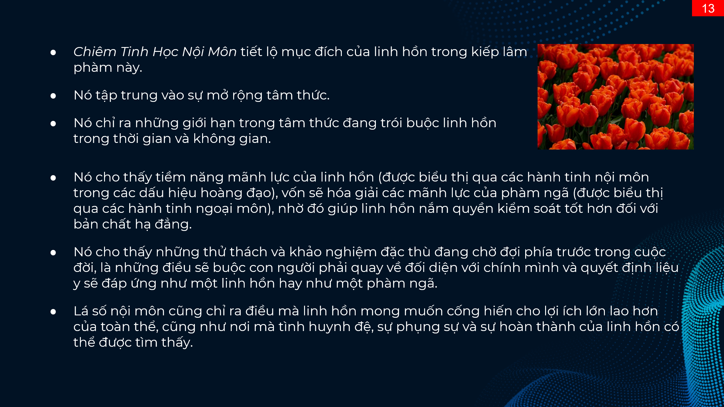 chiem-tinh-hoc-va-cac-cap-doi-lap-1-phan-i-13.webp chiem-tinh-hoc-va-cac-cap-doi-lap-1-phan-i-13.webp