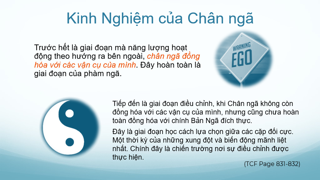 chiem-tinh-hoc-va-cac-cap-doi-lap-1-phan-ii-12.webp chiem-tinh-hoc-va-cac-cap-doi-lap-1-phan-ii-12.webp