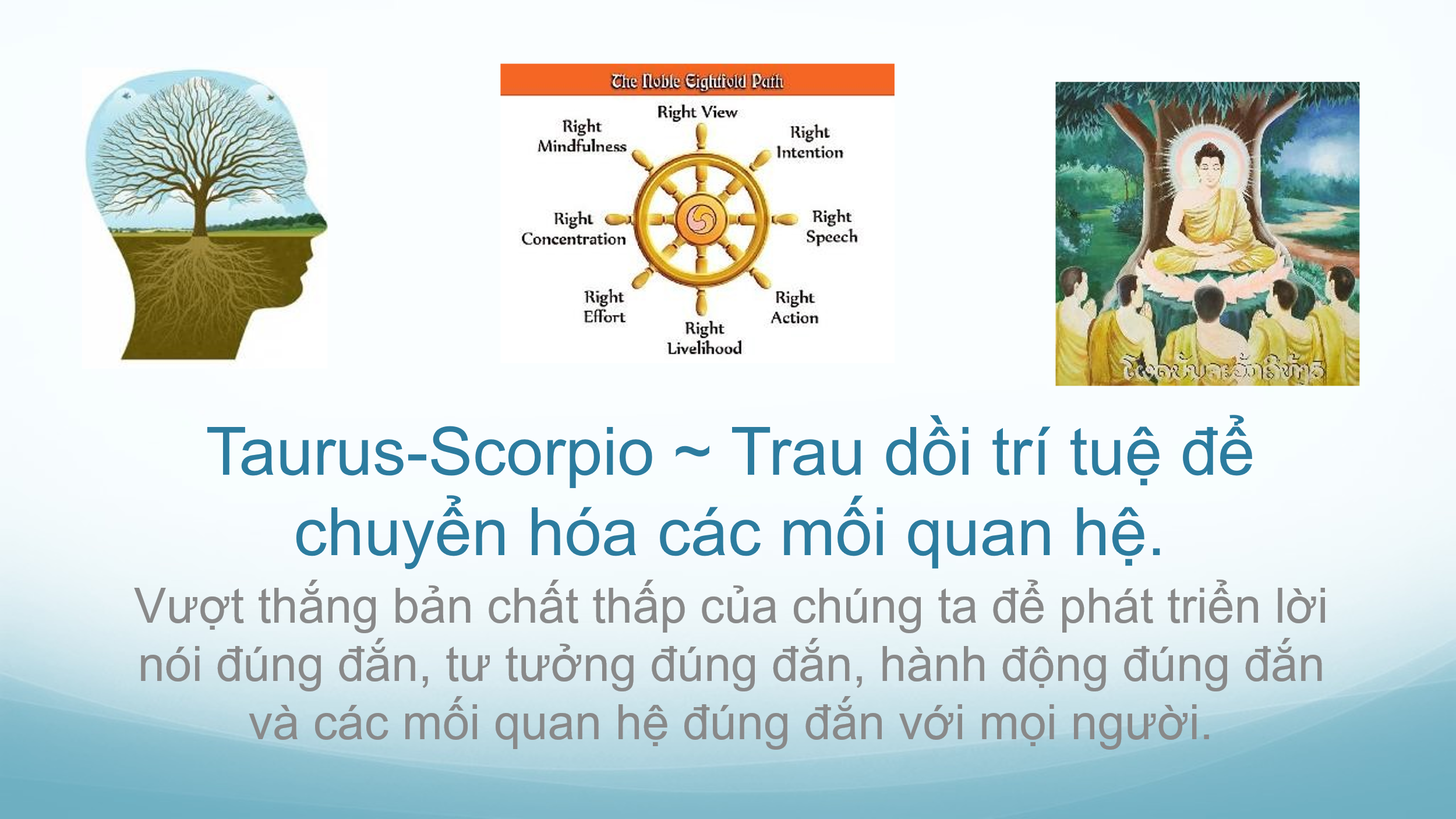 chiem-tinh-hoc-va-cac-cap-doi-lap-3-phan-ii-01.webp