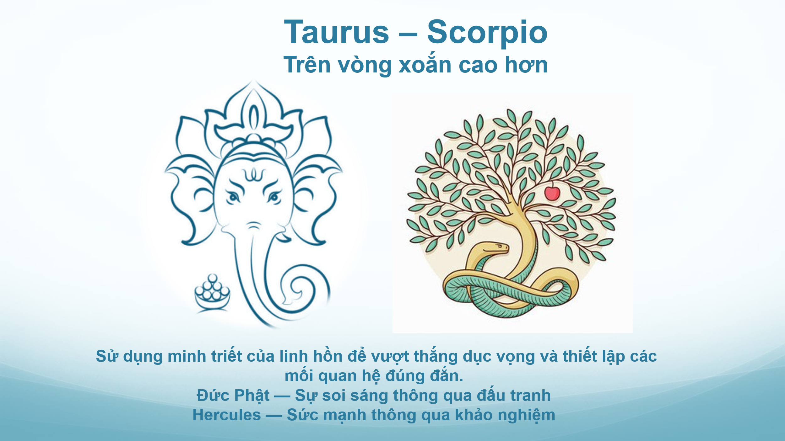 chiem-tinh-hoc-va-cac-cap-doi-lap-3-phan-ii-09.webp