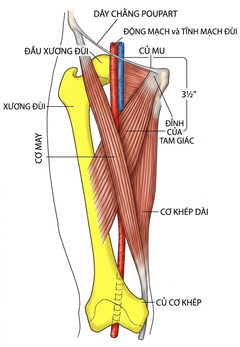 esoteric-anatomy-part-one-song-ngu_upscaled_20260719_061357-06.webp 00032.jpg