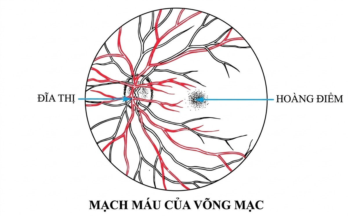 esoteric-anatomy-part-one-song-ngu_upscaled_20260719_061357-12.webp 00054.jpg