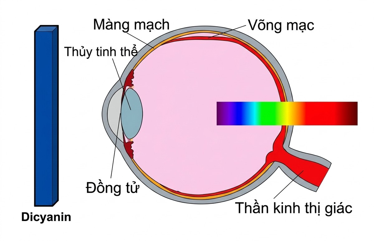 esoteric-anatomy-part-one-song-ngu_upscaled_20260719_061357-15.webp 00059.jpg