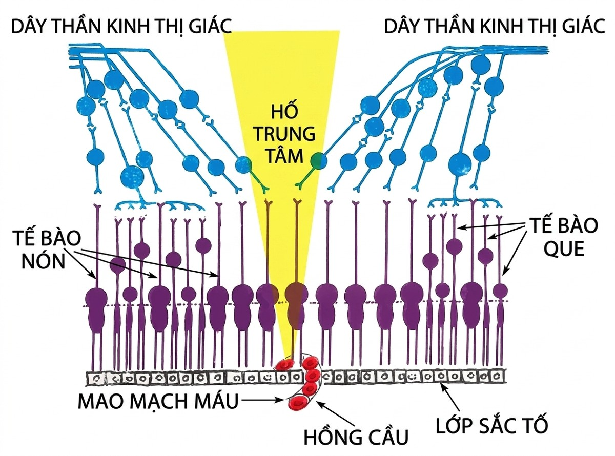 esoteric-anatomy-part-one-song-ngu_upscaled_20260719_061357-22.webp 00007.jpg