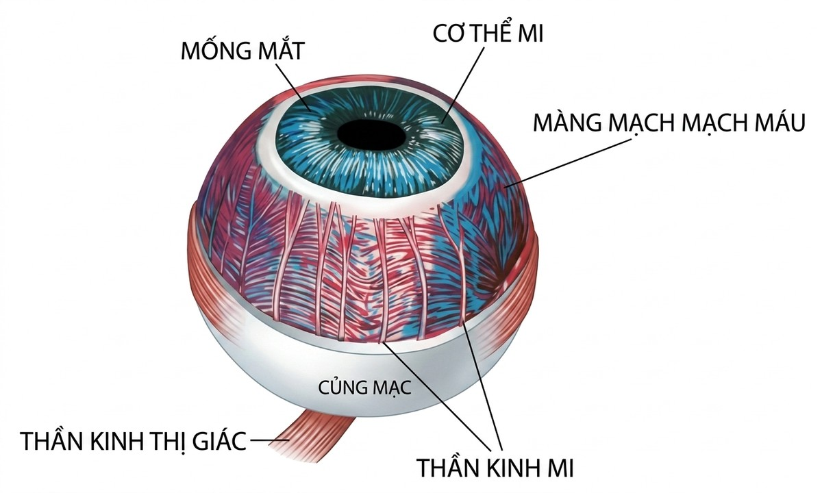 esoteric-anatomy-part-one-song-ngu_upscaled_20260719_061357-26.webp 00074.jpg