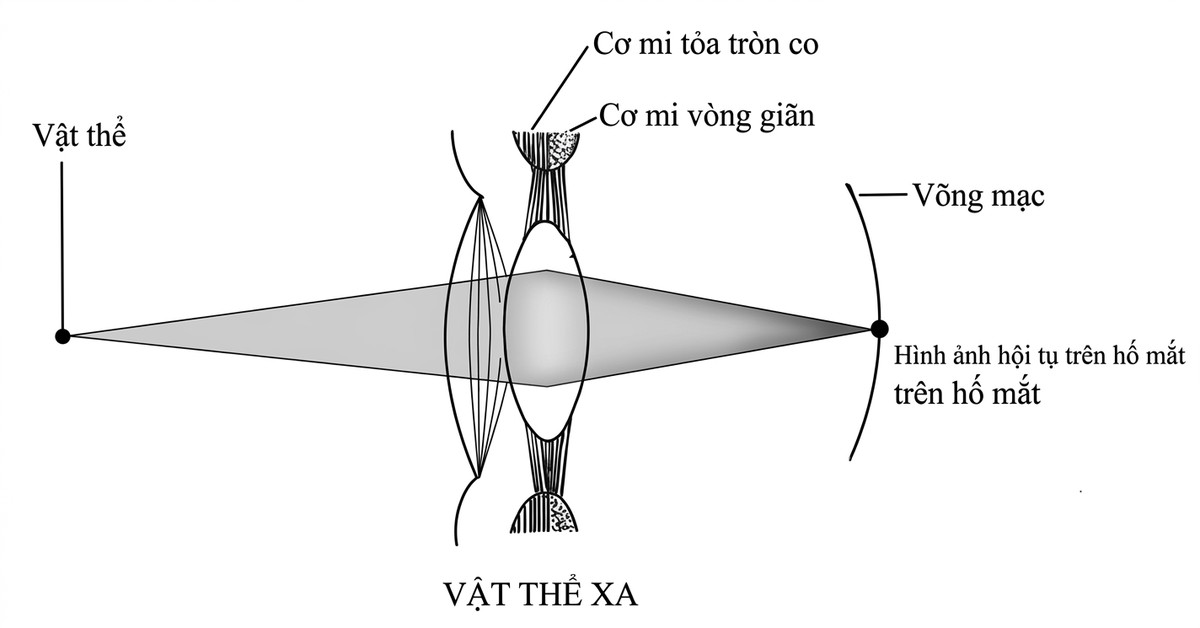 esoteric-anatomy-part-one-song-ngu_upscaled_20260719_061357-28.webp 00079.jpg