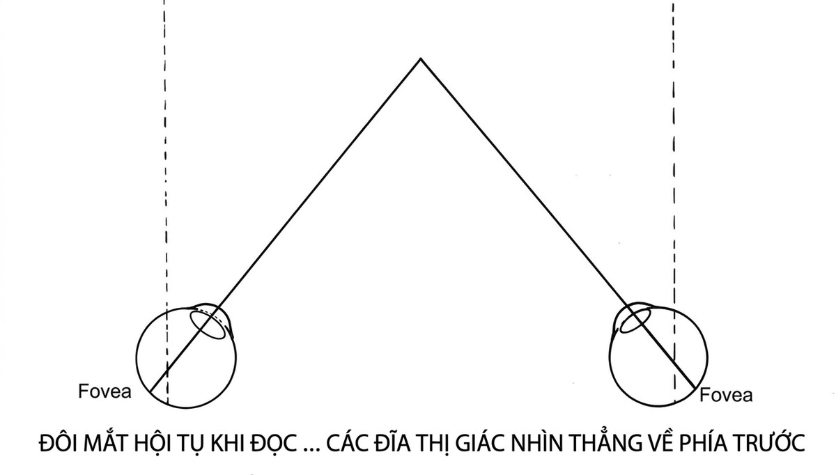esoteric-anatomy-part-one-song-ngu_upscaled_20260719_061357-32.webp 00002.jpg