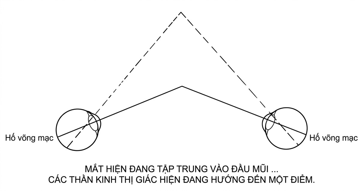 esoteric-anatomy-part-one-song-ngu_upscaled_20260719_061357-33.webp 00003.jpg