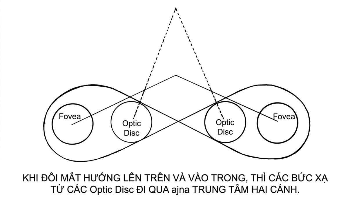 esoteric-anatomy-part-one-song-ngu_upscaled_20260719_061357-34.webp 00005.jpg