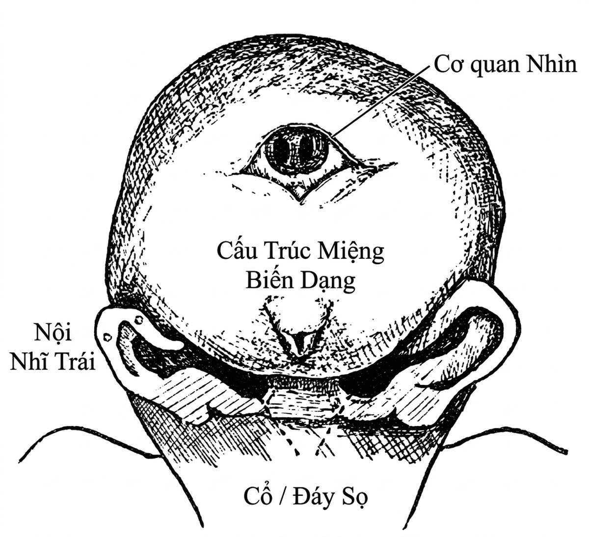 esoteric-anatomy-part-one-song-ngu_upscaled_20260719_061357-40.webp 00017.jpg